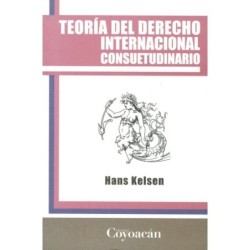 TEORÍA DEL DERECHO INTERNACIONAL CONSUETUDINARIO