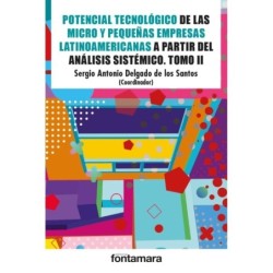 POTENCIAL TECNOLÓGICO DE LAS MICRO Y PEQUEÑAS EMPRESA LATINOAMERICANAS A PARTIR DEL ANÁLISIS SISTÉMICO. Tomo II