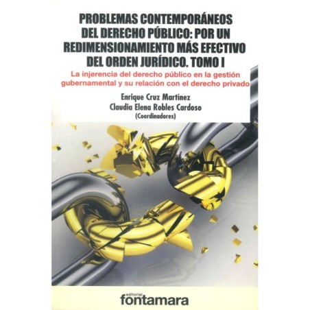 PROBLEMAS CONTEMPORÁNEOS DEL DERECHO PÚBLICO: POR UN REDIMENSIONAMIENTO MÁS EFECTIVO DEL ORDEN JURÍDICO. TOMO I