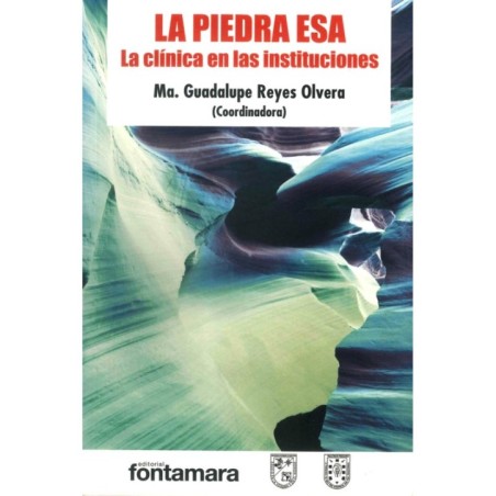 LA PIEDRA ESA. La clínica en las instituciones