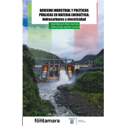 DERECHO INDUSTRIAL Y POLÍTICAS PÚBLICAS EN MATERIA ENERGÉTICA: Hidrocarburos y electricidad