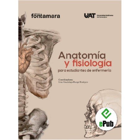 ANATOMÍA Y FISIOLOGÍA PARA ESTUDIANTES DE ENFERMERÍA. Teoría y ejercicios