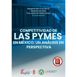 COMPETITIVIDAD DE LAS PYMES EN MÉXICO: UN ANÁLISIS EN PERSPECTIVA