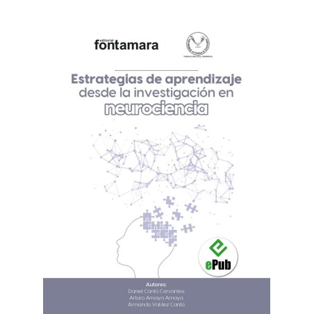 ESTRATEGIAS DE APRENDIZAJE DESDE LA INVESTIGACIÓN EN NEUROCIENCIA