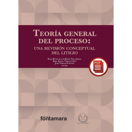 TEORÍA GENERAL DEL PROCESO. Una revisión conceptual del litigio