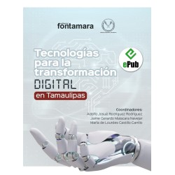 TECNOLOGÍAS PARA LA TRANSFORMACIÓN DIGITAL EN TAMAULIPAS