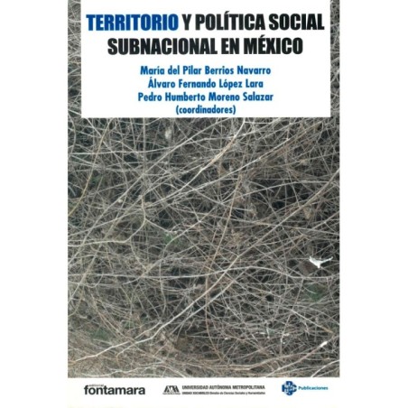 TERRITORIO Y POLÍTICA SOCIAL SUBNACIONAL EN MÉXICO