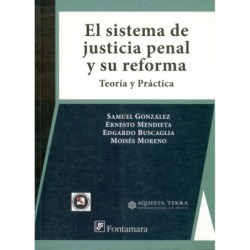 EL SISTEMA DE JUSTICIA PENAL Y SU REFORMA. Teoría y práctica