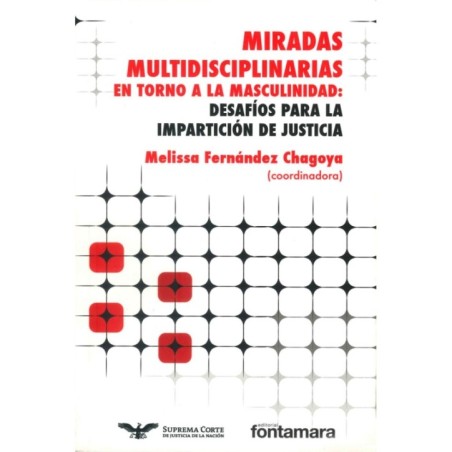 MIRADAS MULTIDISCIPLINARIAS EN TORNO A LA MASCULINIDAD: Desafíos para la impartición de justicia